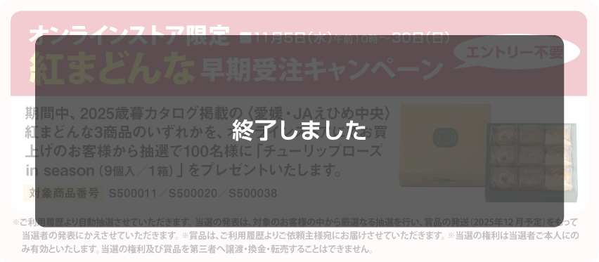紅まどんな　早期受注キャンペーン