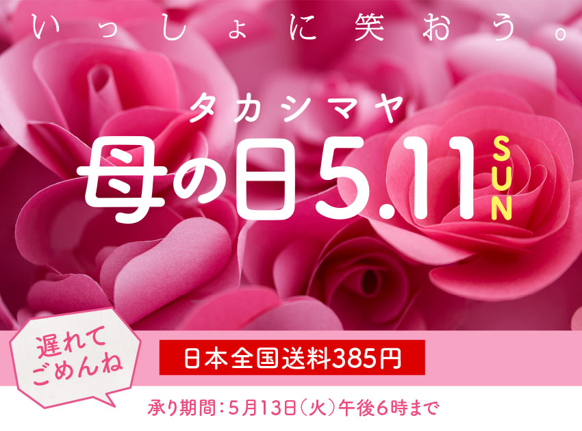 母の日遅れてごめんね